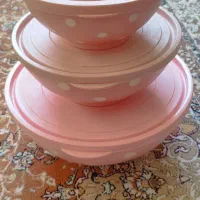 ظرف پلاستیکی ۳تیکه