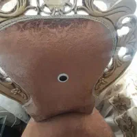 مبل میزبان تک نفره|مبلمان خانگی و میز عسلی|ملایر, |دیوار