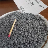 دی آمونیوم فسفات رازی|خدمات باغبانی و درختکاری|تهران, آرژانتین|دیوار