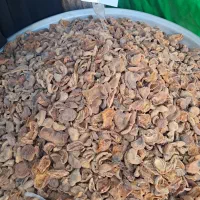 کلوچه و کشمش|خوردنی و آشامیدنی|ملایر, |دیوار