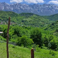 زمین 400 متری|فروش زمین و ملک کلنگی|فریم, |دیوار