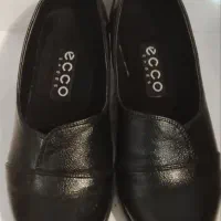 بالتو بزرگسال  .بچه گانه.بخارپز.کفش|لباس|اشنویه, |دیوار