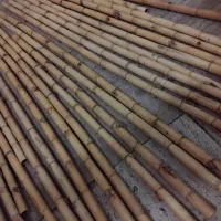 نی خام|سازهای بادی|تهران, زهتابی|دیوار