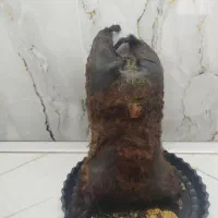 هیزه سالم و تمیز