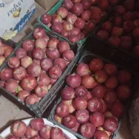 فروش سیب قرمز