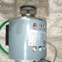 موتورکولر3/4ژن اصلی