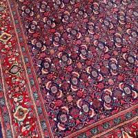 فرش‌قهرمانی ۱۲ متری دستبافت ماهی سراسر