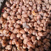 خرما امسال درجه یک
