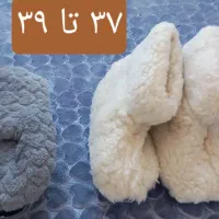 دمپایی روفرشی فانتزی|کیف، کفش، کمربند|تبریز, |دیوار