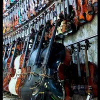 ویولن ویولنسل با آرشه کربن (۵۰٪ بلک فرایدی)|ویولن|شیراز, سینما سعدی|دیوار
