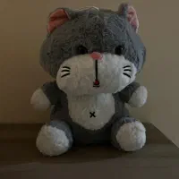 اسباب بازی|اسباببازی|مشهد, فارغ التحصیلان|دیوار