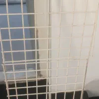 بند رخت|بندرخت و رخت‌آویز|اصفهان, قائمیه|دیوار