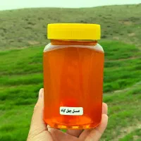 عسل چهل گیاه بهاره صددرصد طبیعی