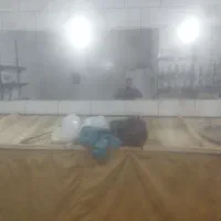 طبق میوه همراه اینه ب قیمت مناسب فقط ده تومن|فروشگاه و مغازه|کرمانشاه, |دیوار