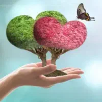 مکالمه زبان