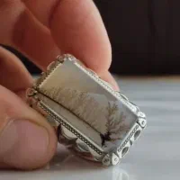 انگشتر نقره مردانه سنگ شجر کلکسیونی