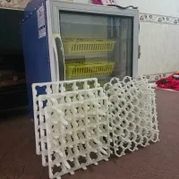 دستگاه جوجه کشی ۱۲۶تای بلدرچین دماوند