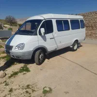 ون غزال درحد صفر دوازده سال خواب