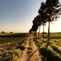 ۲.۷ هکتار زمین کشاورزی/باغی، پلیس‌راه|فروش زمین و ملک کلنگی|نیشابور, فضل|دیوار