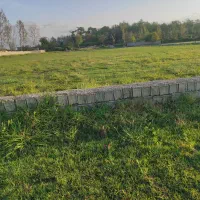 فروش-زمین-جنگلی-200-300متری