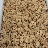 گردو تازه امسال
