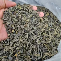 چای سبز سرگل