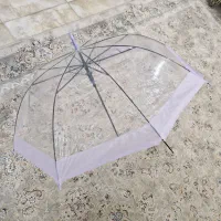 چتر