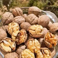 گردو معمولی خرید وفروش|عمده‌فروشی|رابر, |دیوار