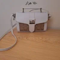 تعدادی کیف