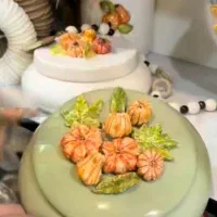 خانوم جهت کارآموزی