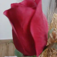 سیمکارت همراه اول کد ۲