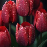 هدیه‌ای خاص برای روز مادر یا شب یلدا