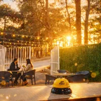 کانکس مناسب کافه