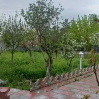 فروش-باغ