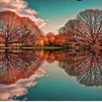 جویای کارهستم