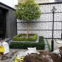 خدمات باغبانی و فضای سبز تعویض خاک گلدان گلها آپار|خدمات باغبانی و درختکاری|تهران, الهیه|دیوار