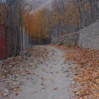 همنورد جهت کوهنوردی در کوهای تهران و حومه تهران