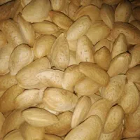 بادام تازه محصول امسال