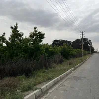 باغ ۵۰۰متری بر اصلی باغستان|فروش زمین و ملک کلنگی|تهران, سعیدآباد|دیوار
