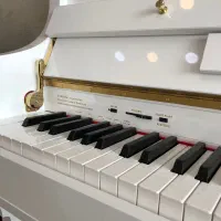 پیانو طرح اکوستیک یاماها p48 pro|پیانو، کیبورد، آکاردئون|شیراز, رازی|دیوار