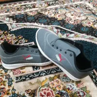 کتونی حراج|کیف، کفش، کمربند|خشکبیجار, |دیوار