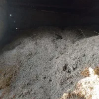 علف خورد شده|حیوانات مزرعه|اسفرورین, |دیوار