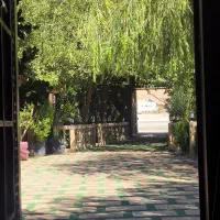 سالاد زن و وسط کار برای قسمت فست فود