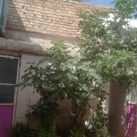 منزل ویلایی خیابان آستانه (محله لب آب)|فروش خانه و ویلا|شیراز, لب آب|دیوار
