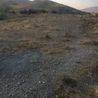 زمین تلو حکیمه ۲۲۵ متری و ۵۰۰ متری|فروش زمین و ملک کلنگی|تلو, |دیوار