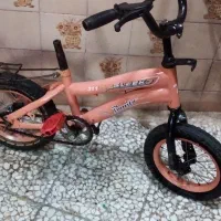 دوچرخه دوازده