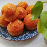 توزیع کیک و کماچ