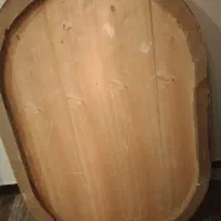 فرگاز ظرف کفش مردانه