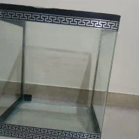اکواریوم خم شرکتی