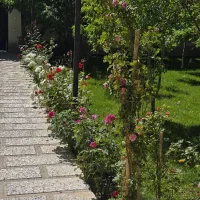 اجاره سالیانه ویلا کردان